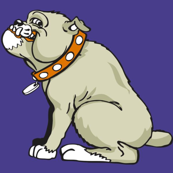 AR BDOG 26 RC Thumbnail