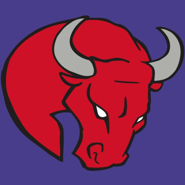 AR BULL 24 RC Thumbnail