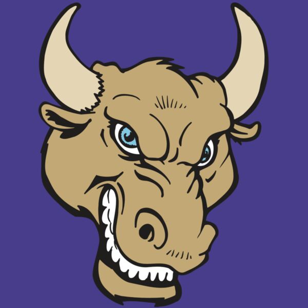 AR5 BULL 13 RQC Thumbnail