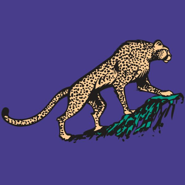 AR CHEETAH 02 RC Thumbnail