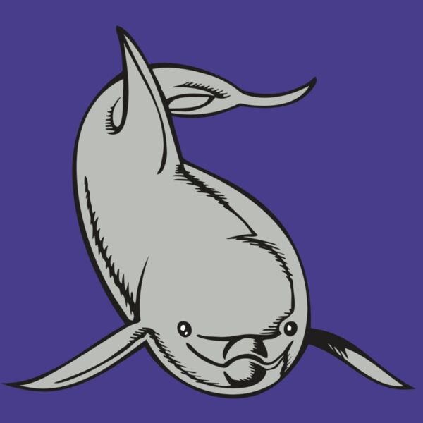 BAW DOLPHIN 02 RC Thumbnail