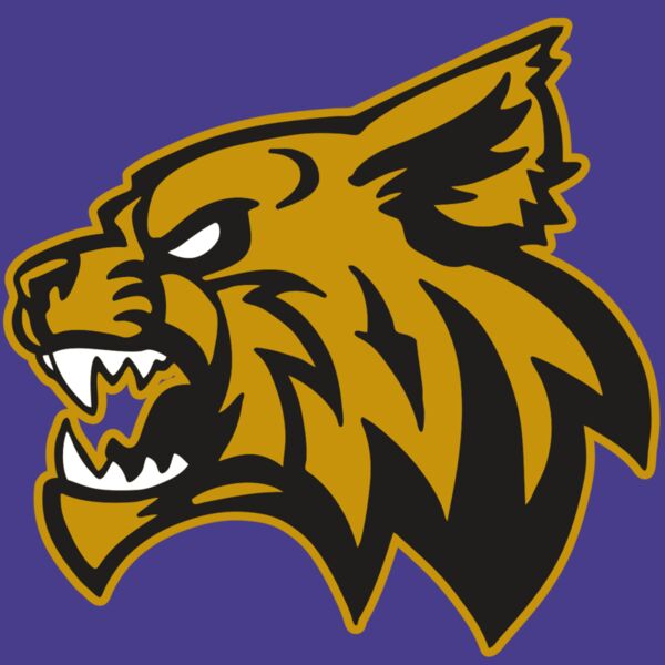 AR WILDCAT 16 RC Thumbnail