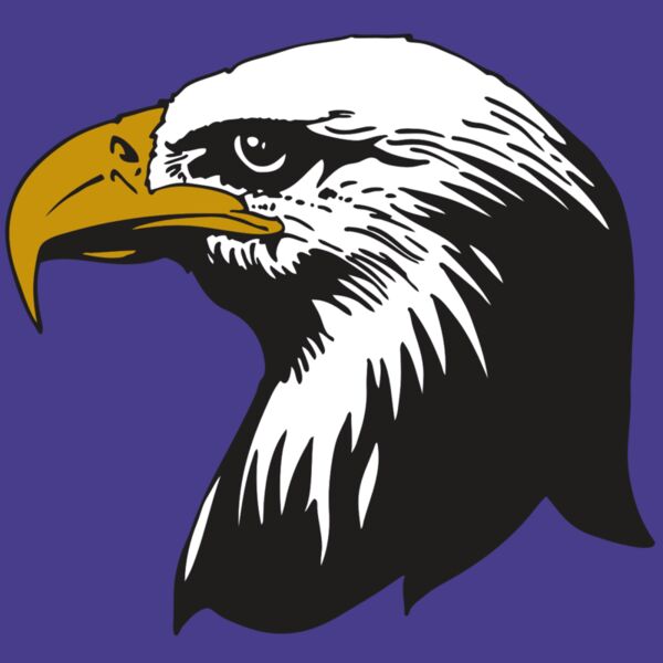 AR EAGLE 87 RC Thumbnail