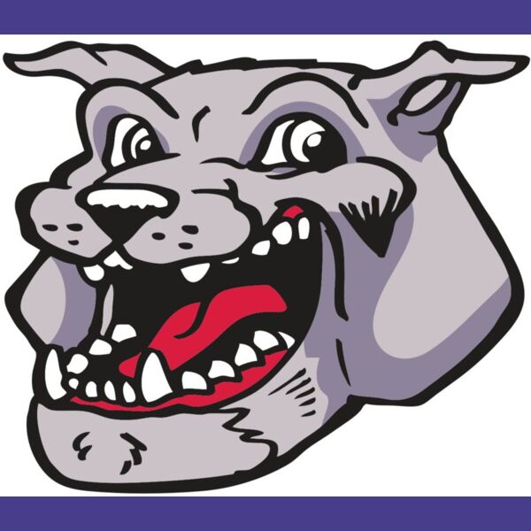 AR BDOG 24 RC Thumbnail