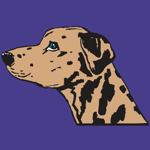 AR2 OTHER 03 RQC Thumbnail