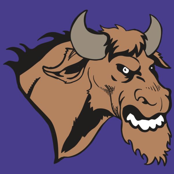 AR5 BULL 09 RQC Thumbnail