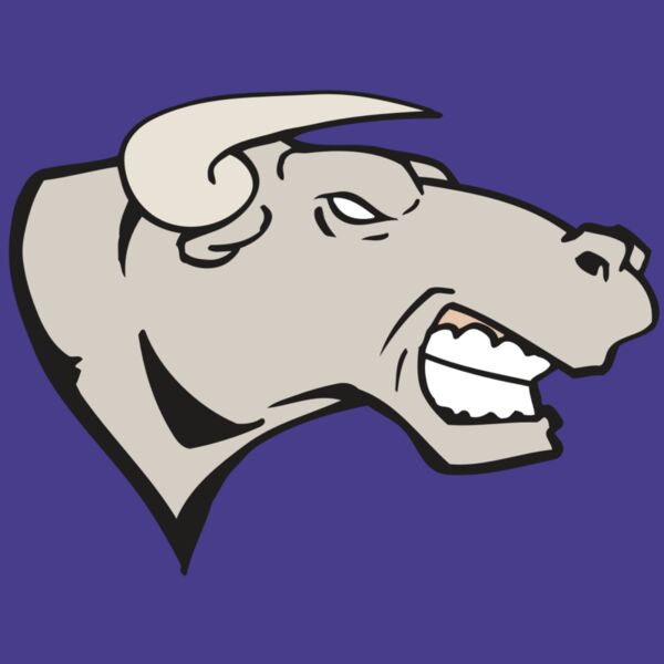 AR BULL 18 RC Thumbnail