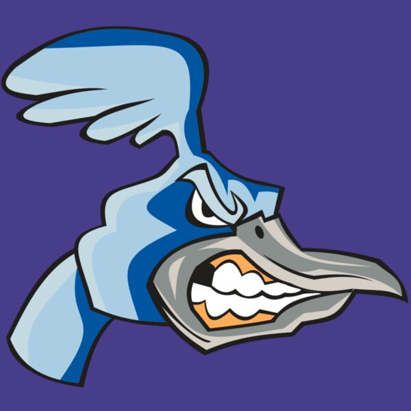 ROADRUNNER HD0503 RQC Thumbnail