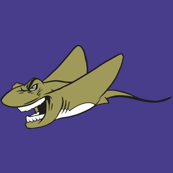 AR19 STINGRAY 07 RQC Thumbnail