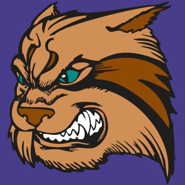 BAW WILDCAT 05 RC Thumbnail