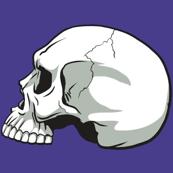 AR24 SKULL 11 RQC Thumbnail