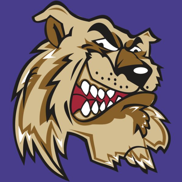 WILDCAT HD0502 RQC Thumbnail