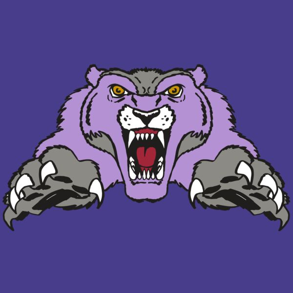 AR WOLVERINE 17 RC Thumbnail