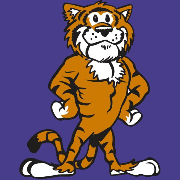 AR TIGER 91 RC Thumbnail