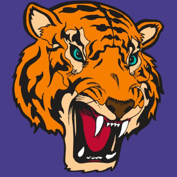 BAW TIGER 12 RC Thumbnail