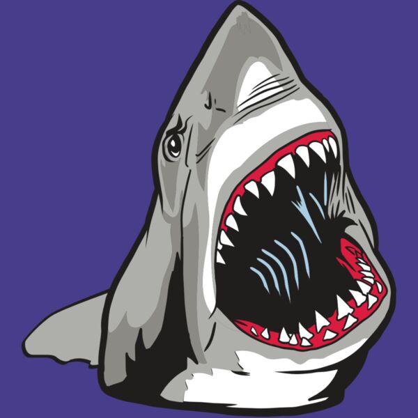 AR20 SHARK 45 RQC Thumbnail