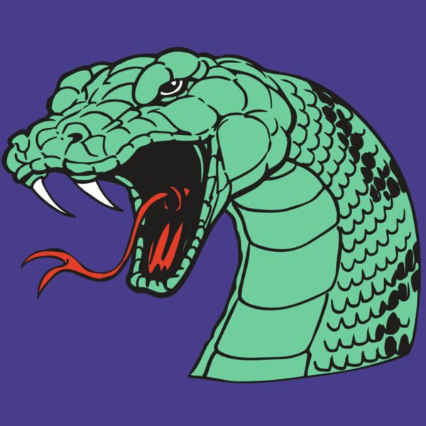 AR SNAKE 10 RC Thumbnail