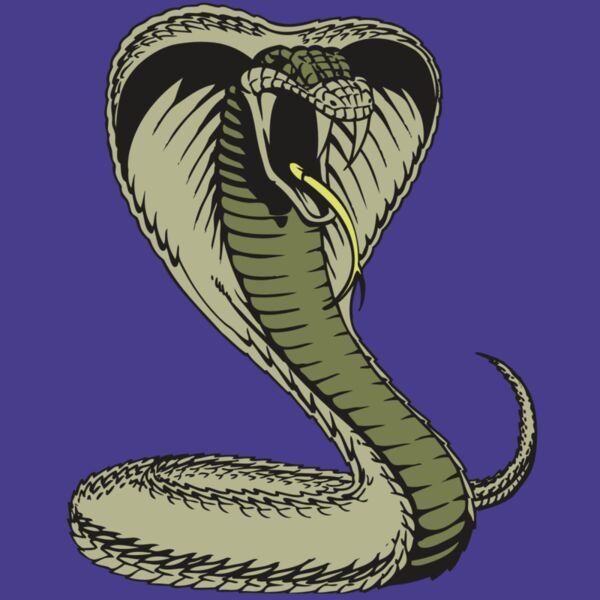 BAW SNAKE 07 RC Thumbnail