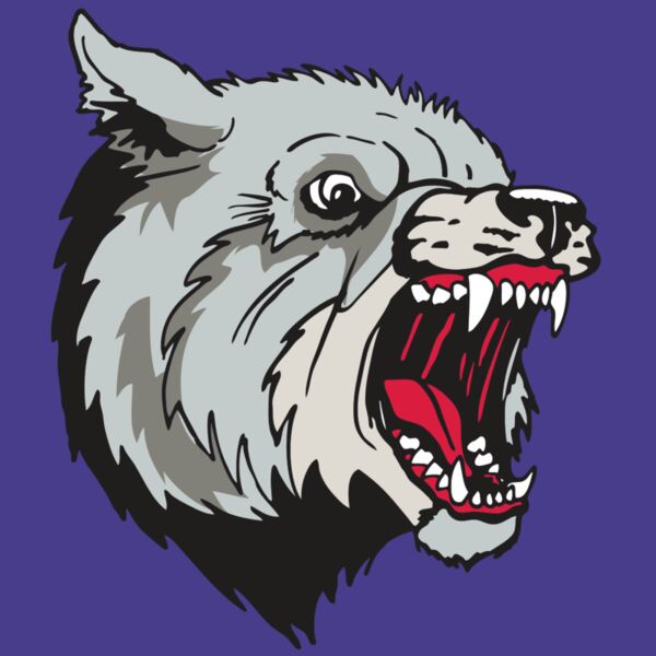 AR WOLF 38 RC Thumbnail