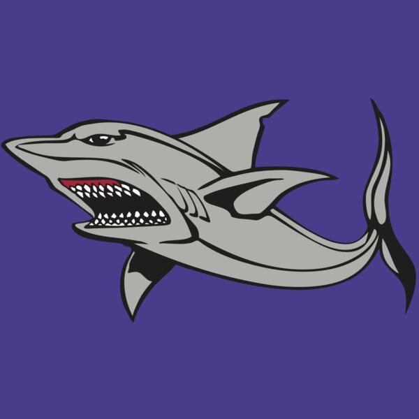 BAW SHARK 03 RC Thumbnail