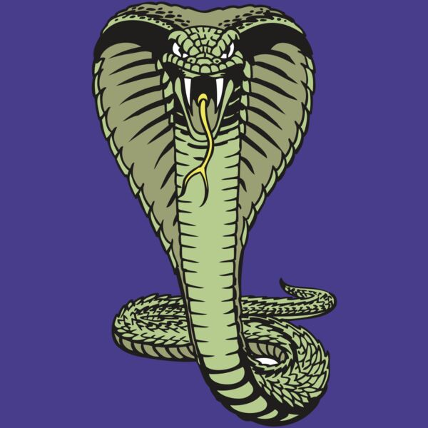 BAW SNAKE 15 RC Thumbnail