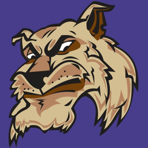 WILDCAT HD0501 RQC Thumbnail