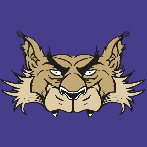 AR5 Wolf 28 RQC Thumbnail