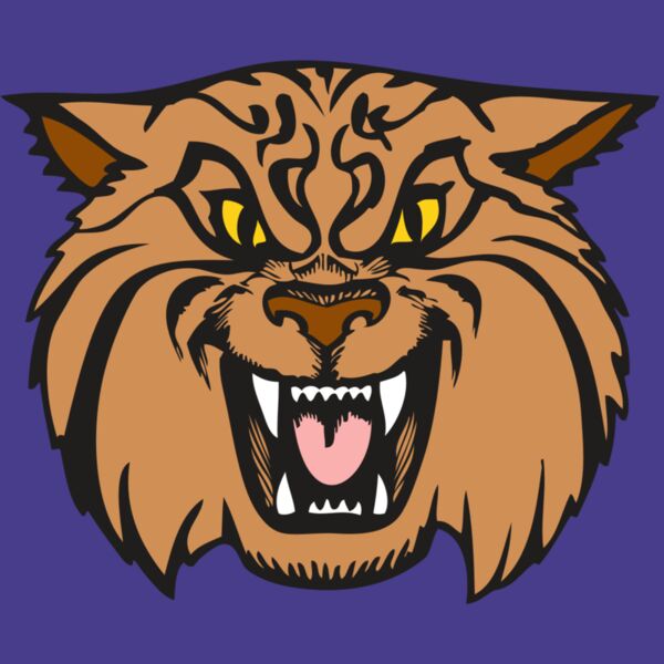 BAW WILDCAT 04 RC Thumbnail