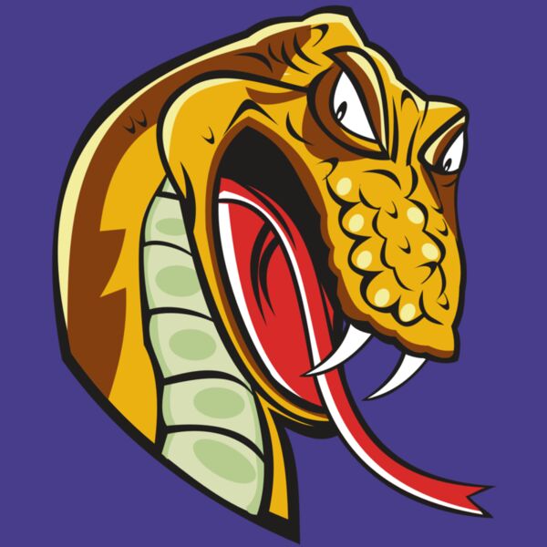 SNAKE HD0502 RQC Thumbnail