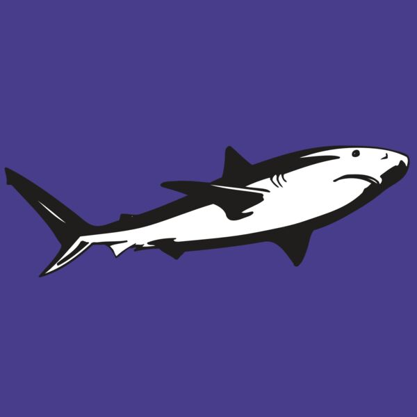 AR5 Shark 15 RQC Thumbnail