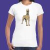 Womens Softstyle Tee Shirt Thumbnail