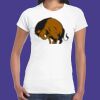Womens Softstyle Tee Shirt Thumbnail