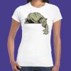 Womens Softstyle Tee Shirt Thumbnail